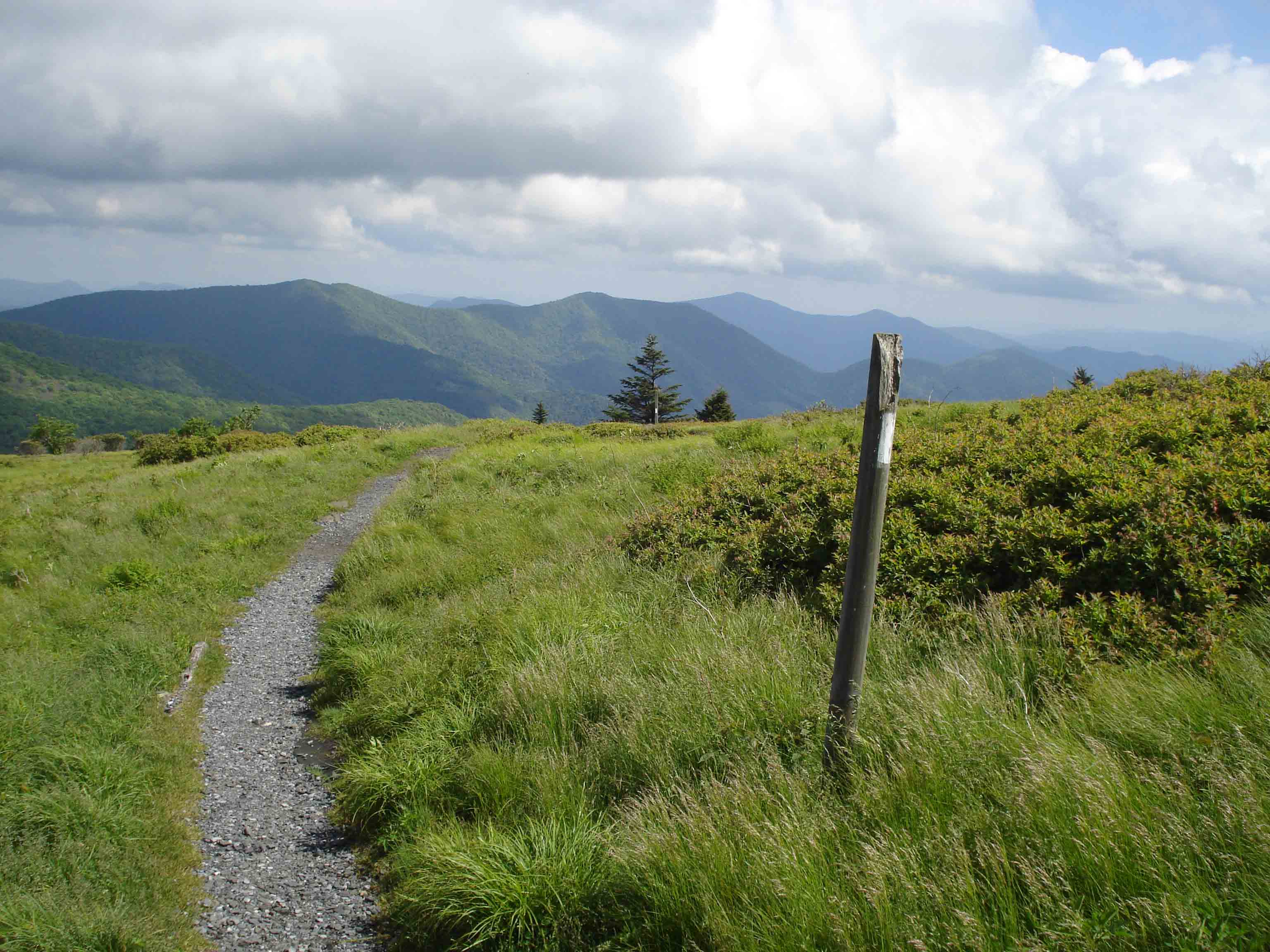 mm 13.5 Round Bald near Roan Mountain- looking south  Courtesy gstrine@embarqmail.com